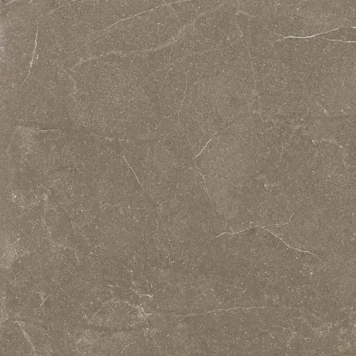 Stoneline Brown 60x60