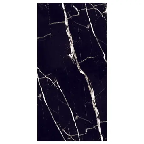 Black Marble 60x120